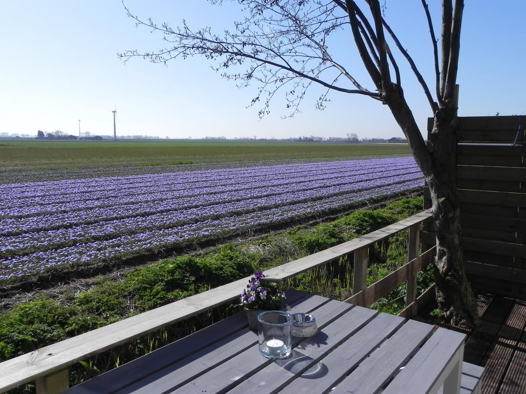 Appels En Peren Bed And Breakfast 브리잔드 객실 사진